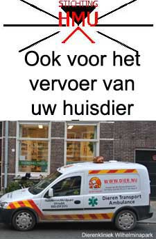 Stichting huisdieren meldpunt utrecht voor het melden en ophalen van gevonden en vermiste dieren